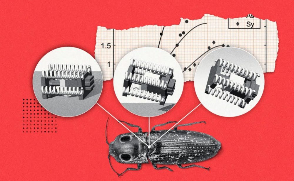 El profesor de ciencias mecánicas e ingeniería Sameh Tawfick ha dirigido un estudio en el que se presentan robots del tamaño de un escarabajo. Crédito: Michael Vincent. Imagen facilitada por la Universidad de Illinois en Urbana-Champaign. SOLO USO EDITORIAL.
