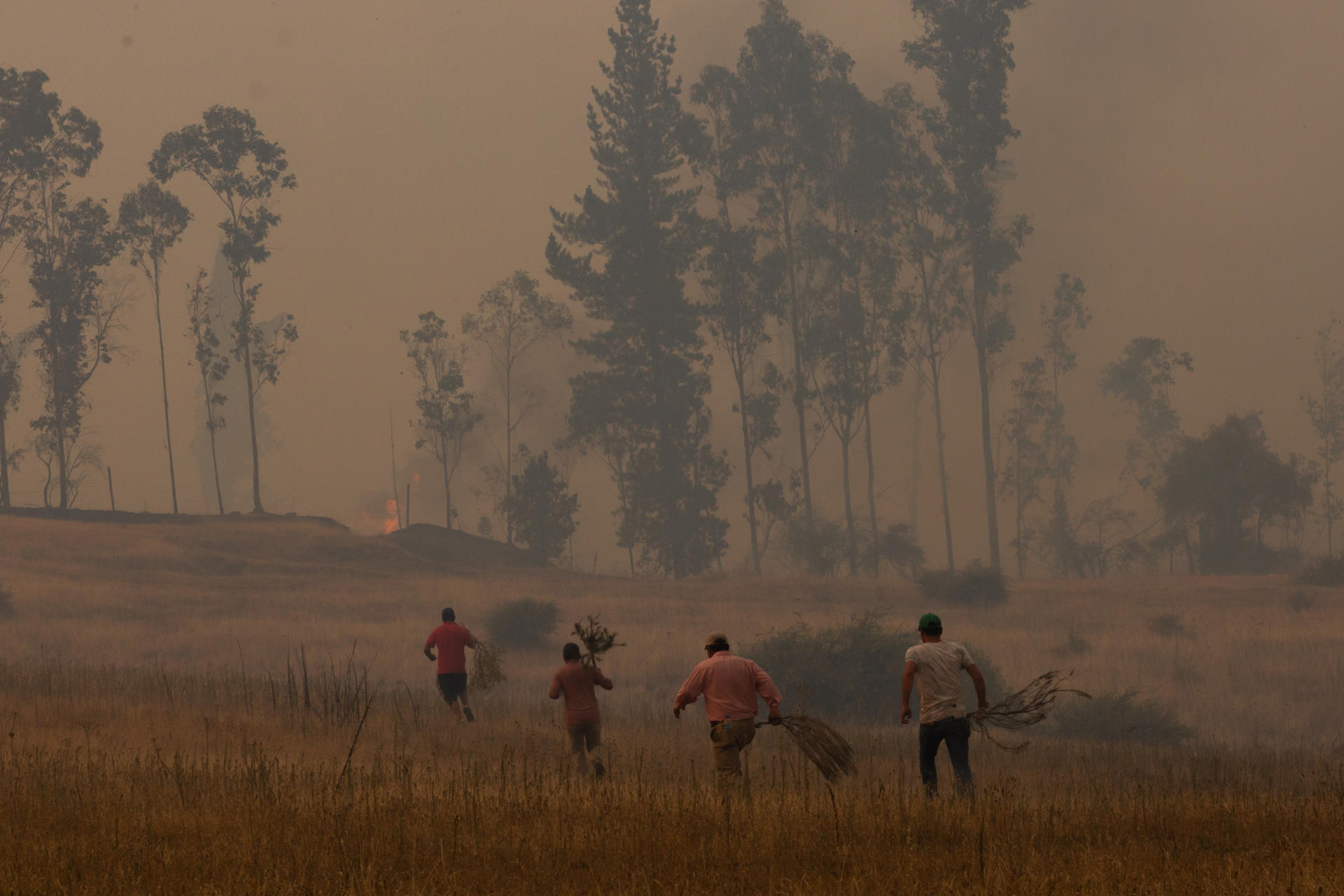 Vecinos combaten, el 9 de febrero de 2023, un incendio forestal en sector Rinconada de la comuna de Quillón, región de Ñuble (Chile). EFE/Esteban Paredes Drake