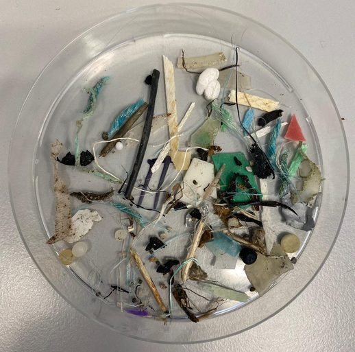 Residuos plásticos recolectados en el Ártico por los turistas. Fotografía facilitada por Melanie Bergmann/Instituto Alfred-Wegener de Alemania. EFE