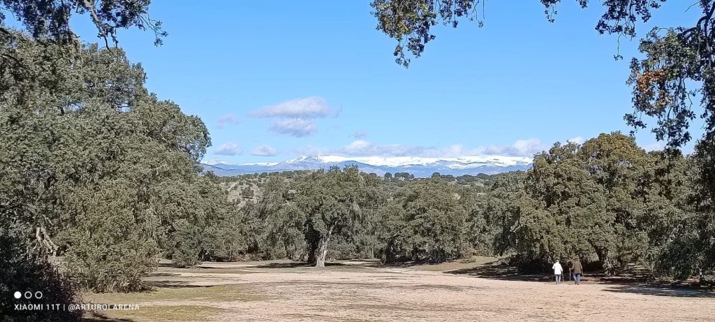 Monte de El Pardo 2 @arturolarena para @efeverde