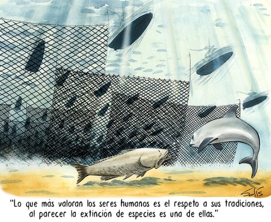De la pobre labor para salvar a la vaquita marina por Victor Solís @visoor en la viñeta verde en @feverde