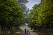 En la imagen de archivo, una mujer corre por el jardín Botanico de Olarizu de Vitoria. EFE/David Aguilar