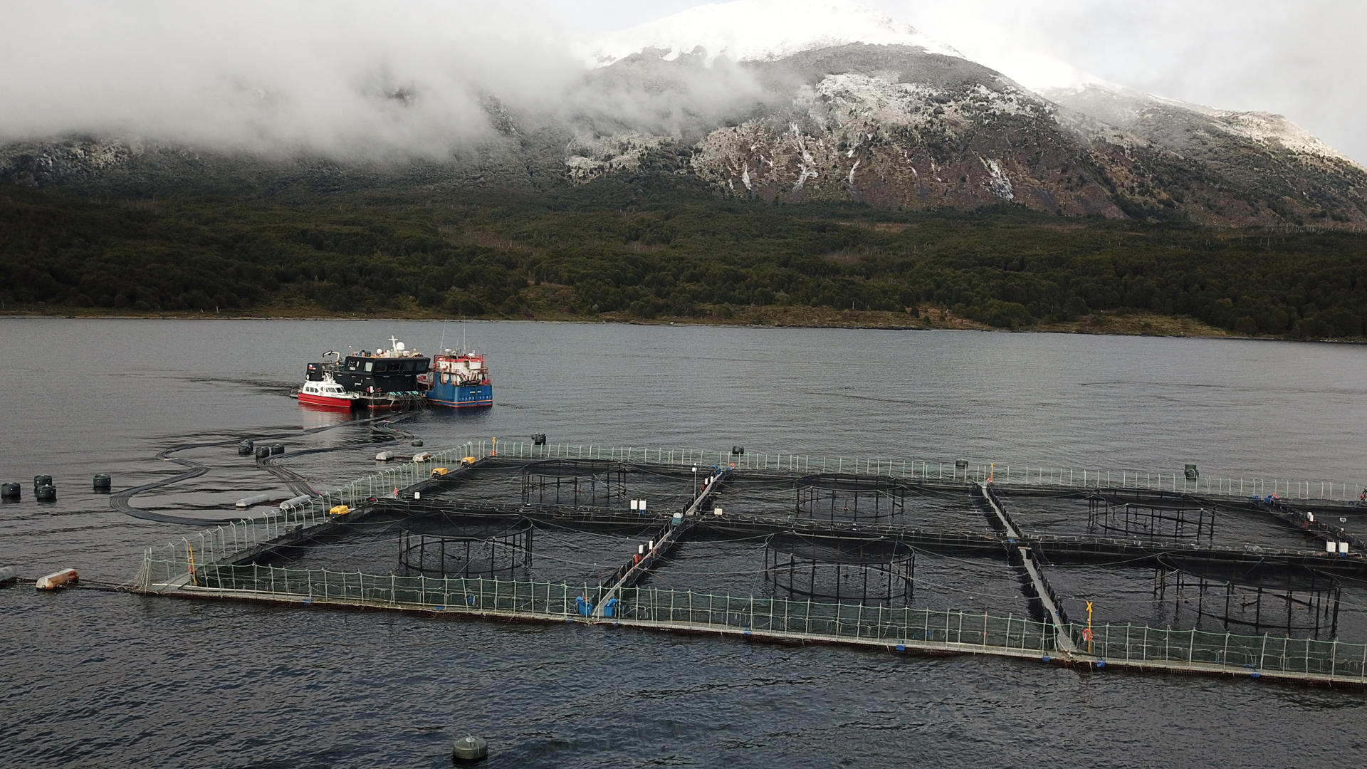 CH1. PUERTO NATALES (CHILE), 10/04/2023.- Fotografía aérea de una salmonera, el 29 de marzo 2023, en la ciudad de Puerto Natales (Chile). Magallanes, la región más austral de Chile, lleva años inmersa en una encrucijada por la salmonicultura, una industria que se ha convertido en uno de los motores del país, pero que está en el punto de mira de los ambientalistas por sus altos impactos en los ecosistemas marinos. EFE/ Rodrigo Saez