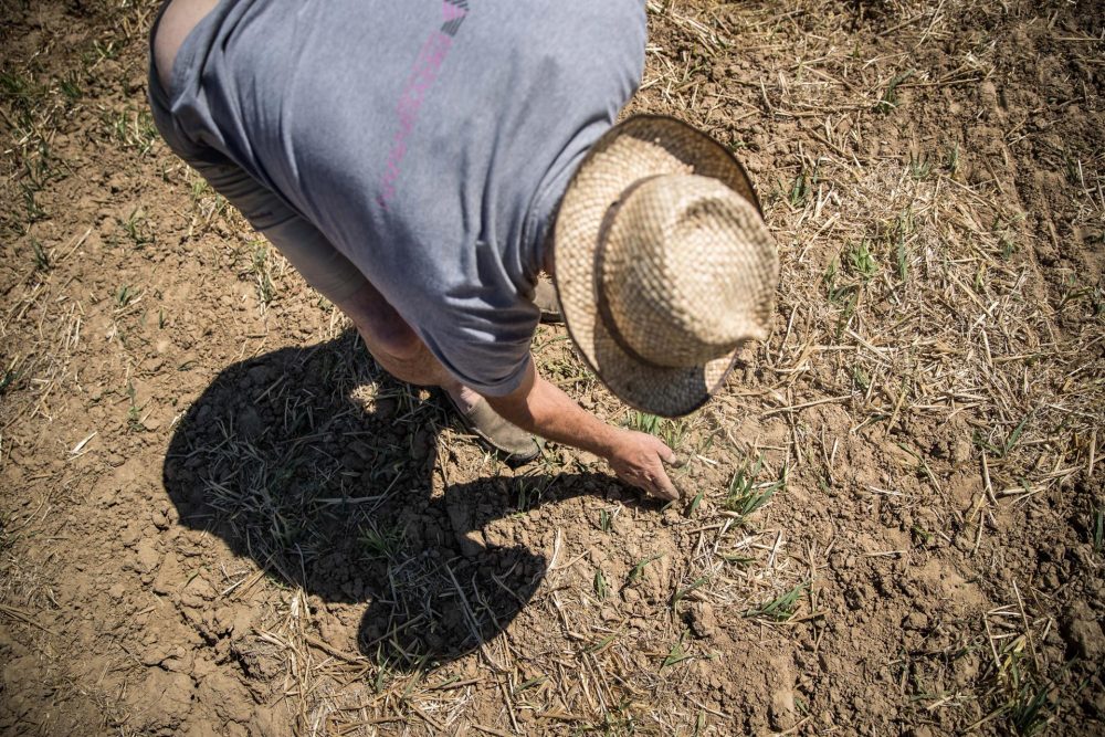 En la imagen de archivo, un agricultor inspecciona la tierra para plantar en Lissy, Francia. EFE/EPA/CHRISTOPHE PETIT TESSON