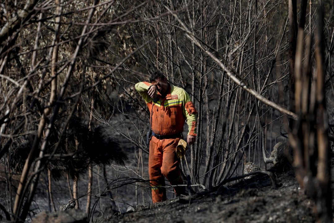 LAS REGUERAS (ASTURIAS), 10/04/2023.- Un bombero vigila las zonas aún humeantes y con riesgo de incendio en los bosques de Pereda. Tras quedar controlado anoche, en el incendio de Las Regueras, en las cercanías de Oviedo, continúan los trabajos de bomberos y de una empresa forestal además de un helicóptero, que tratan de evitar que se reavive un fuego que durante el fin de semana amenazó con llegar a cuatro localidades y que ha arrasado una zona de pinos. EFE/Paco Paredes