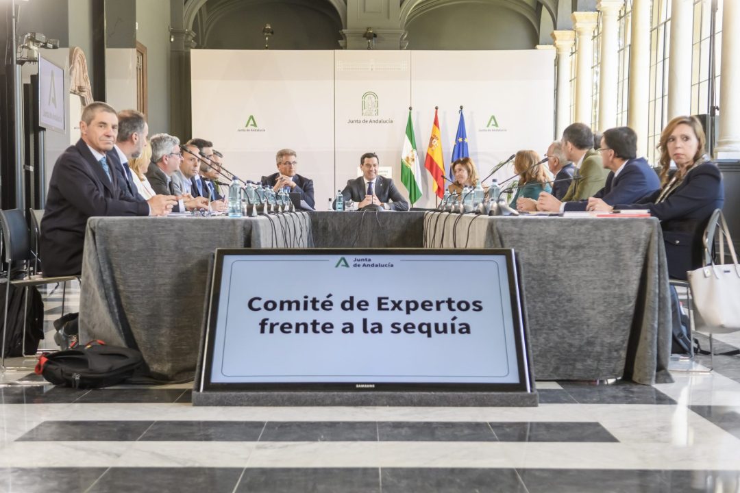 El presidente de la Junta de Andalucía, Juanma Moreno (c), durante la reunión del Comité de Expertos frente a la sequía, que ha tenido lugar este martes en el Palacio de San Telmo en Sevilla, EFE/ Raúl Caro.