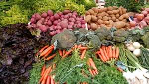 Patatas, brocoli, zanahyorias... Foto @arturolarena en @efeverde (6)