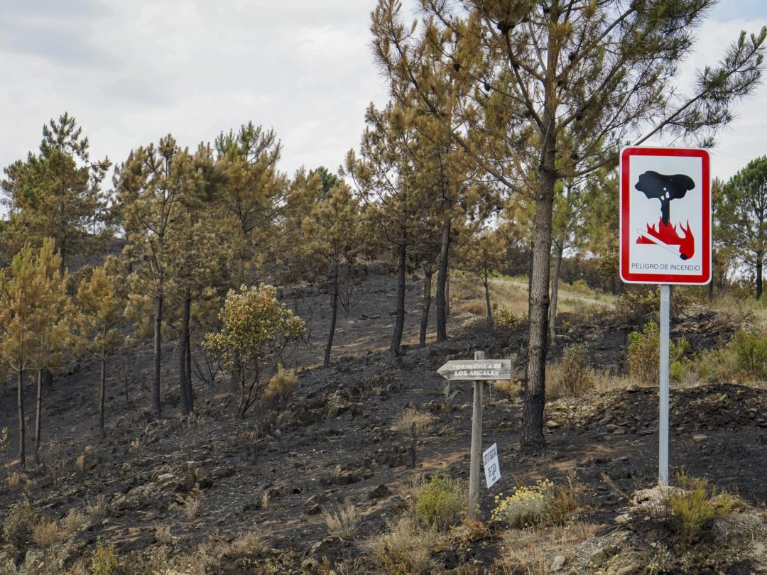 Fotografía este lunes, de los efectos del incendio en la comarca cacereña de Las Hurdes, en Pinofranqueado (Extremadura). EFE/ Eduardo Palomo