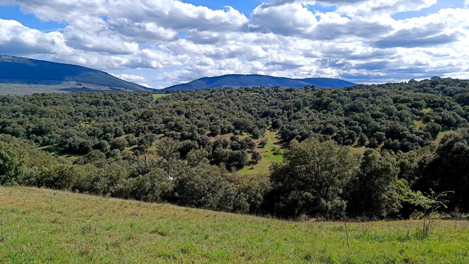 Somosierra desde Cerezo de Abajo (Segovia) @ArturoLarena para @efeverde