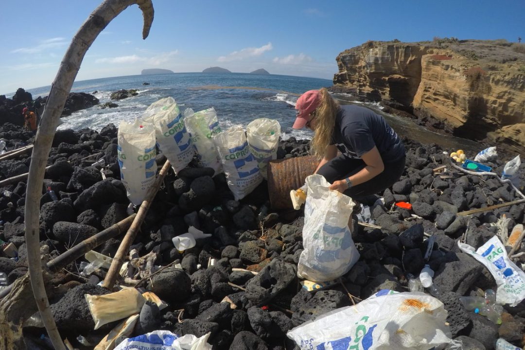 Cedida por Mongabay Latam. Uso editorial en el reportaje que se copublica