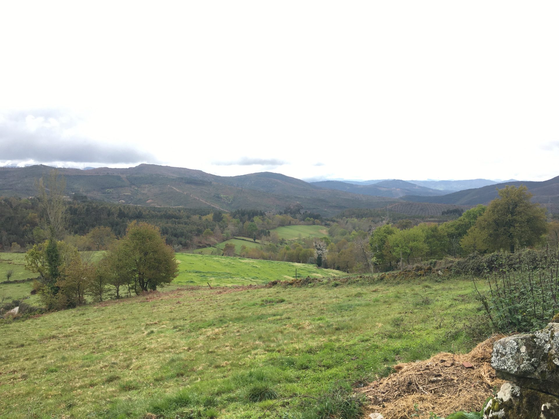 Paisaje de Covas do Barroso, en Portugal, considerado Patrimonio Agrícola Mundial y donde el gobierno Portugués acaba de aprobar la mayor mina de litio a cielo abierto de Europa Occidental. Foto Marina Otero SOLO USO EDITORIAL