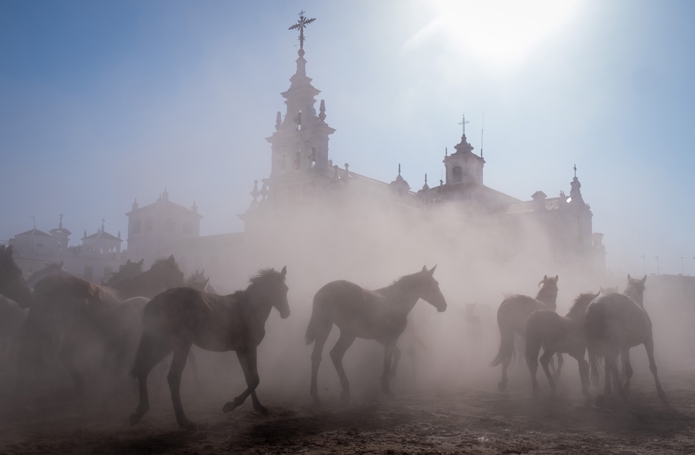 Alrededor de 1.500 cabezas de equinos en estado semisalvaje pasan delante de la ermita de El Rocío (Huelva), tras salir esta mañana de la marisma de Doñana hasta los corrales del recinto ganadero municipal de Almonte, Huerta de la Cañada, en la conocida como 'Saca de las Yeguas', una tradición ancestral que los almonteños vienen realizando desde hace más de 500 años cada 26 de junio. EFE/Julián Pérez