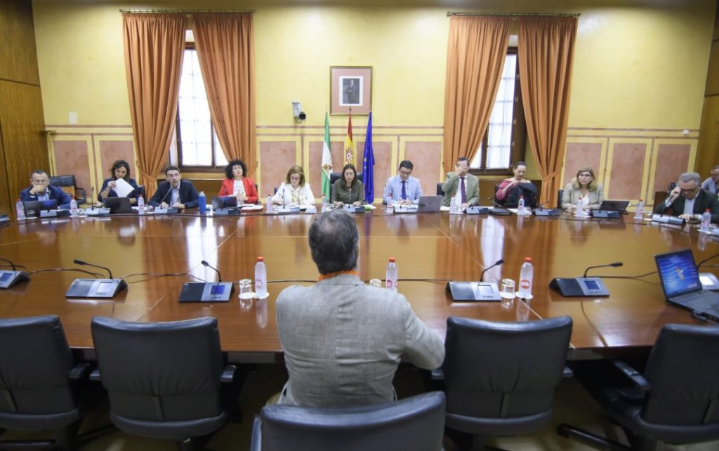 SEVILLA, 13/06/2023.-SEVILLA. 13/06/2023. - El director de Cooperativas Agro-alimentarias de Andalucía, Jaime Martínez-Conradi (c), ha sido el primero de los agentes sociales en comparecer en el Parlamento de Andalucía para dar su visión en la tramitación de la proposición de ley que impulsan PP y Vox para regular los suelos de regadío junto a Doñana. EFE/ Raúl Caro.