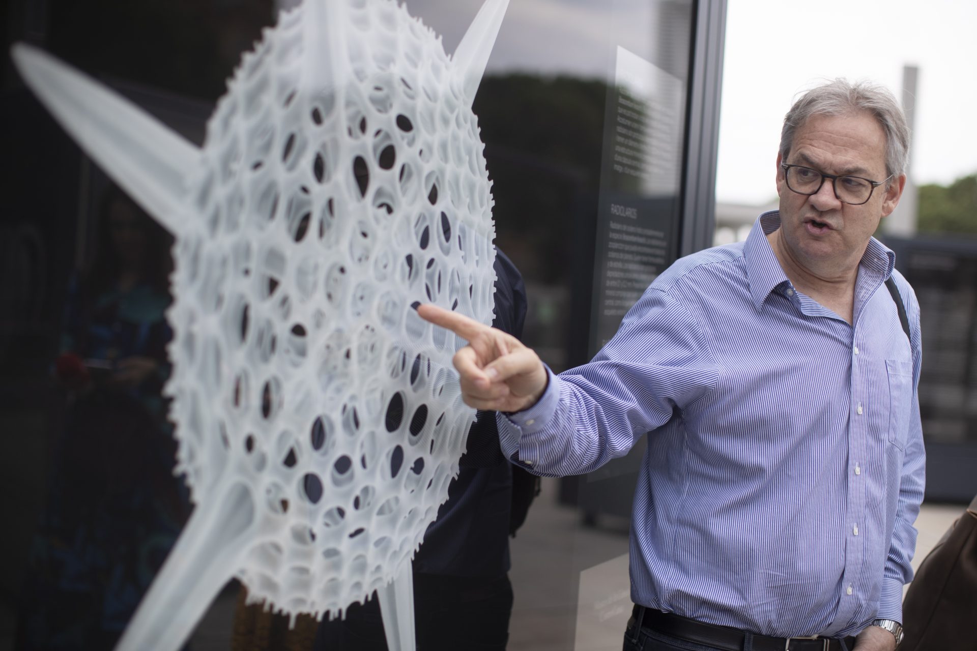 GRAFCAT1037 BARCELONA 01/06/2023.- Con la ayuda de microscópios electrónicos de rastreo del Canadian Museum of Nature, el escritor y cineasta estadounidense Michael Benson ha fotografiado las formas secretas de la naturaleza que el ojo humano no ve, unas imágenes que se exponen desde hoy en el CosmoCaixa de Barcelona en una muestra que llega por primera vez a España y que itinerará durante tres años por otras provincias españolas. EFE/ Marta Perez