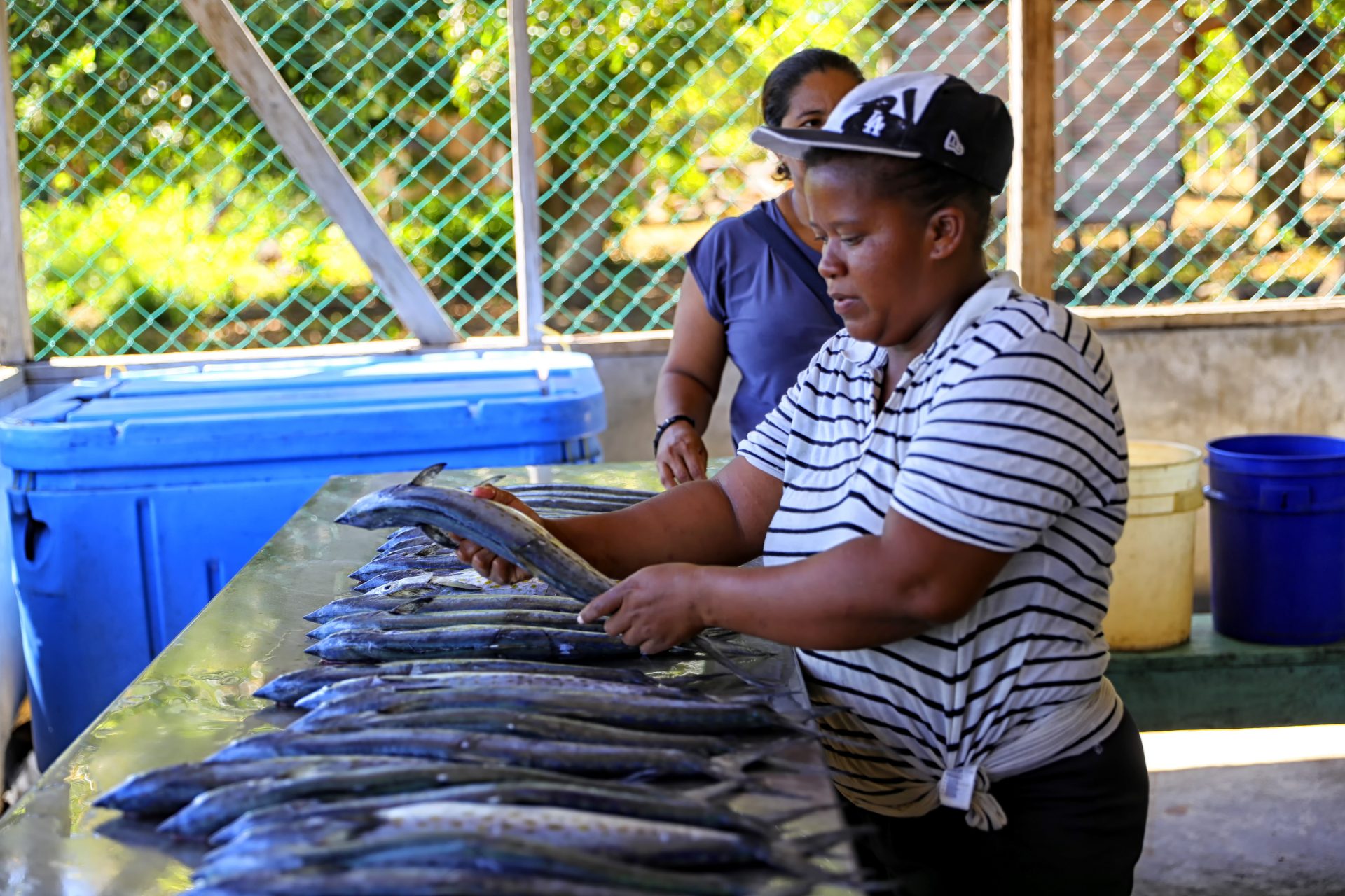 Indígenas de la etnia Miskita limpian pescados, el 24 de mayo de 2023, en la comunidad de Yahurabila (Honduras). EFE/ Gustavo Amador