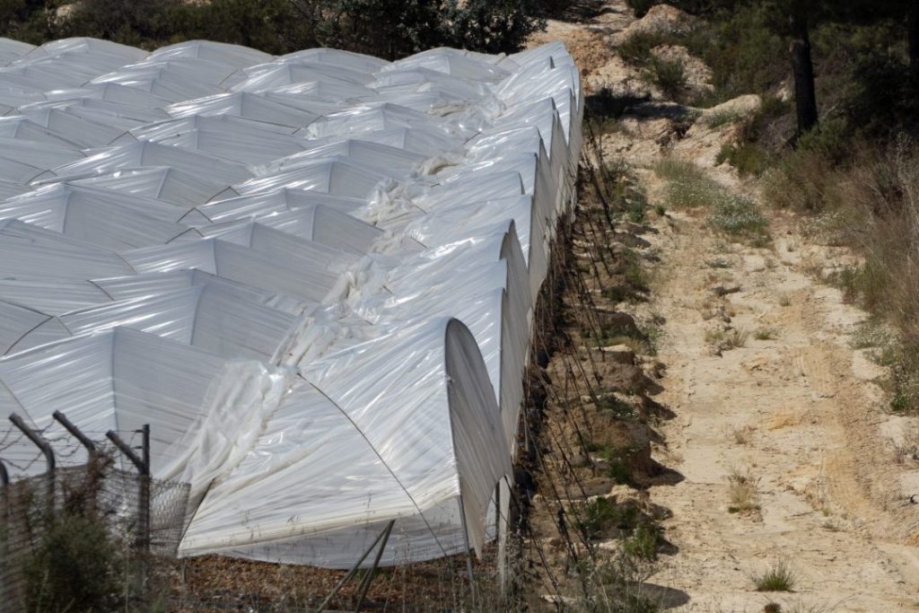 En la imagen de archivo, un cultivo de regadío en el entorno del Parque Nacional de Doñana. EFE/David Arjona