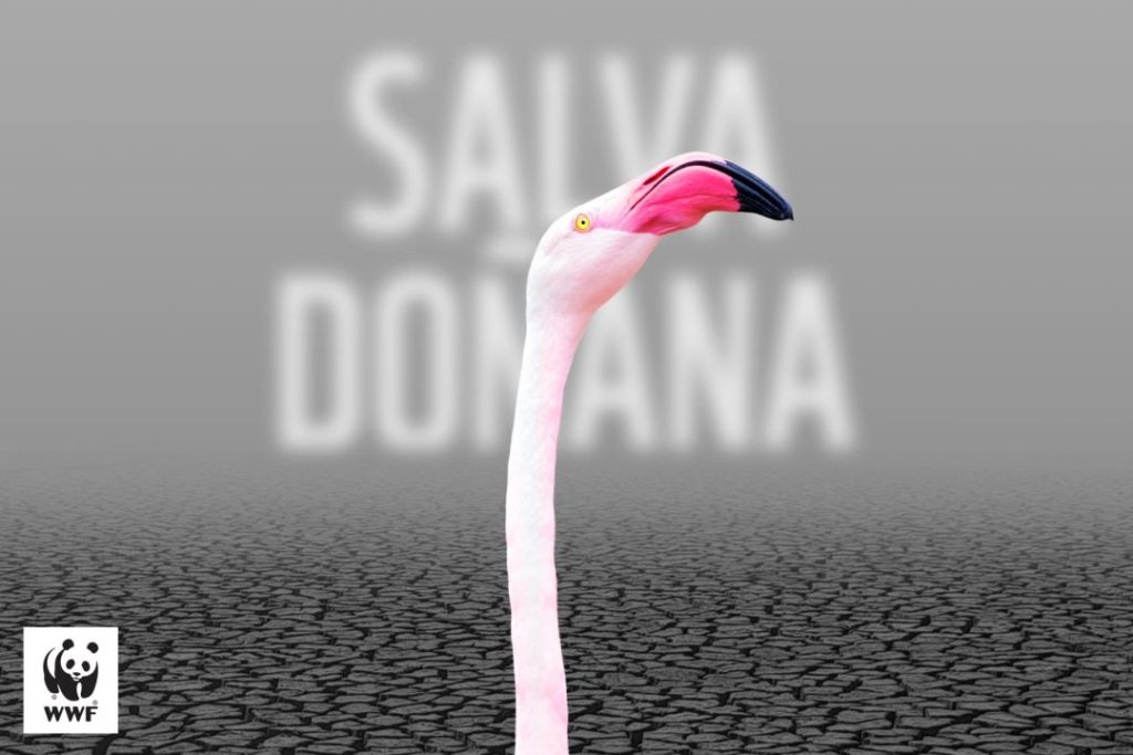 Campaña #SalvaDoñana. © WWF