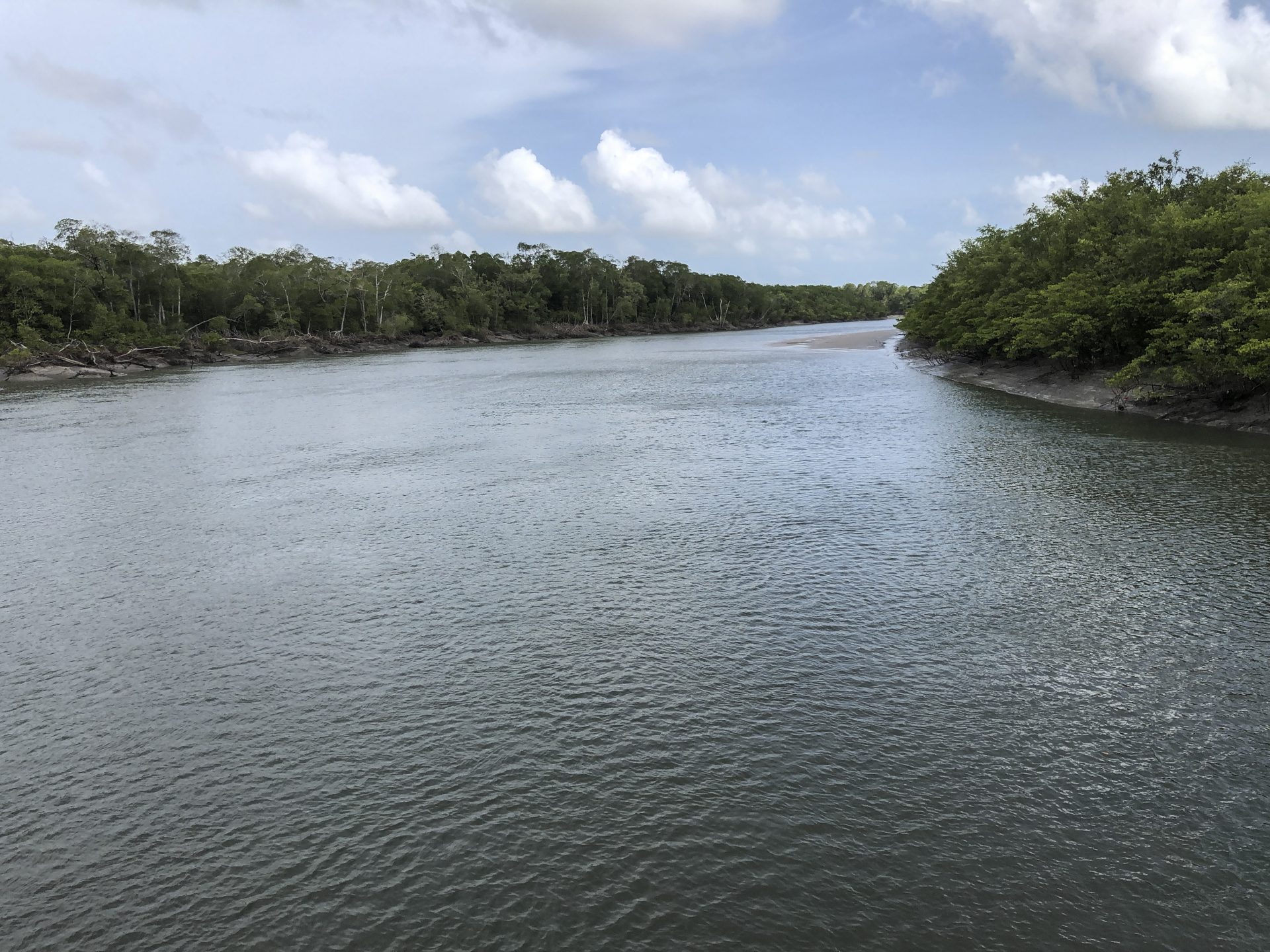 Fotografía cedida por Pedro Walfir Souza Filho, que muestra unos manglares en el municipio de Bragança, en el litoral del estado amazónico de Pará (Brasil). EFE/ Pedro Walfir Souza Filho