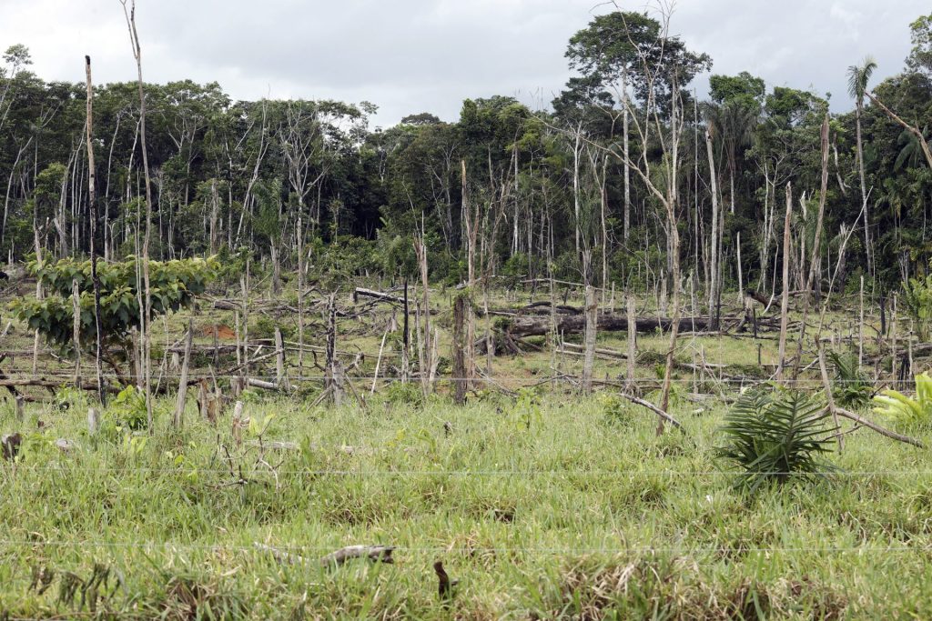 Fotografía de archivo de una zona de selva amazónica deforestada, en San José del Guaviare (Colombia). EFE/Mauricio Dueñas