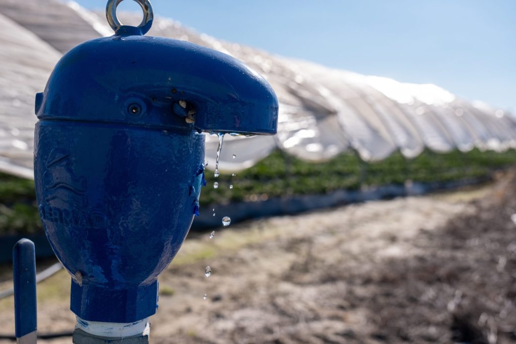 Boca de riego en una finca del cultivo de fresas ubicada en la zona de regadío al norte de la Corona Forestal de Doñana, en el término municipal de Lucena del Puerto (Huelva), en una fotografía de archivo. EFE/Julián Pérez