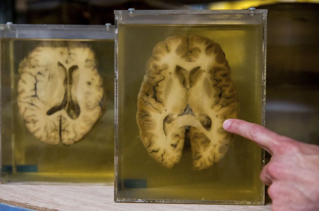 Imagen de archivo. EFE/Stephanie Lecocq