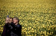 Lisse (Netherlands), 19/04/2023.- Tourists pose for a selfie as they visit the Bollenstreek region, in Lisse, the Netherlands, 19 April 2023. The fields are in full bloom again in the spring with tulips and hyacinths. (Países Bajos; Holanda) EFE/EPA/ROBIN VAN LONKHUIJSEN