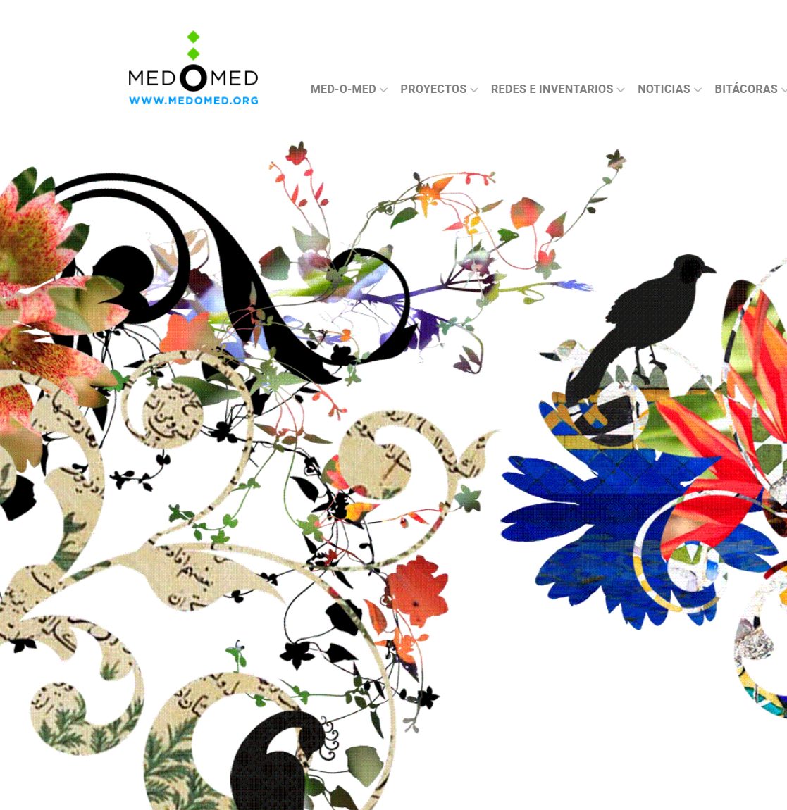 Captura de la web de la Escuela de Jardinería Med-O-Med de Bouregreg