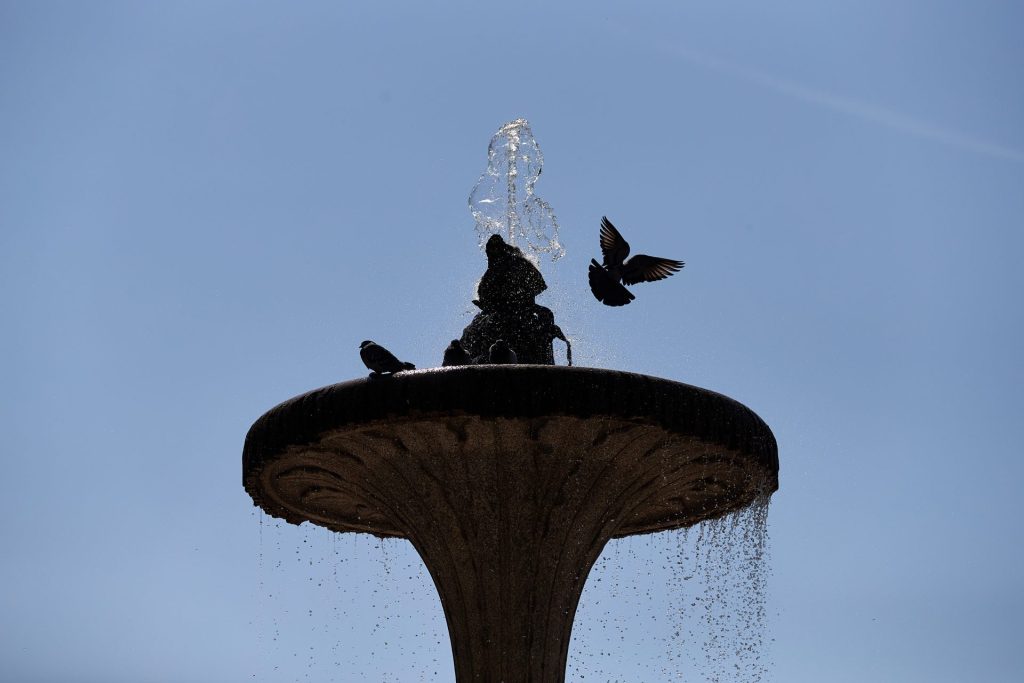 Unos pájaros revolotean en una fuente en el Parque de El Retiro de Madrid. EFE/Miguel Osés