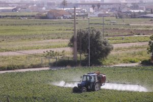 En la imagen de archivo, un agricultor fumiga con su tractor un campo de hortalizas en el área metropolitana de Valencia. EFE/ Kai Forsterling