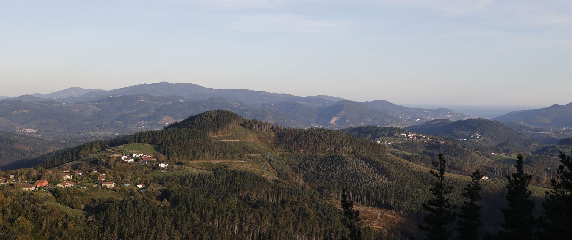 URDABAI (BIZKAIA), 08/12/2023.-Diferentes "aulas" forestales en pleno bosque de Urdabai. El centro de investigación y desarrollo agroalimentario y ganadero Neiker trabaja en el establecimiento de un "aula" forestal o marteloscopio dentro del bosque en Urdaibai, en Bizkaia, concebido como una herramienta pedagógica para profesionales y estudiantes. Los llamados marteloscopios son sitios demostrativos ubicados en una parcela permanente dentro del bosque, en la que se hacen mediciones en los árboles que se vinculan a un software, a través del cual el visitante puede comprobar in situ los impactos sobre la biodiversidad de las distintas opciones de gestión y corta. EFE/Luis Tejido