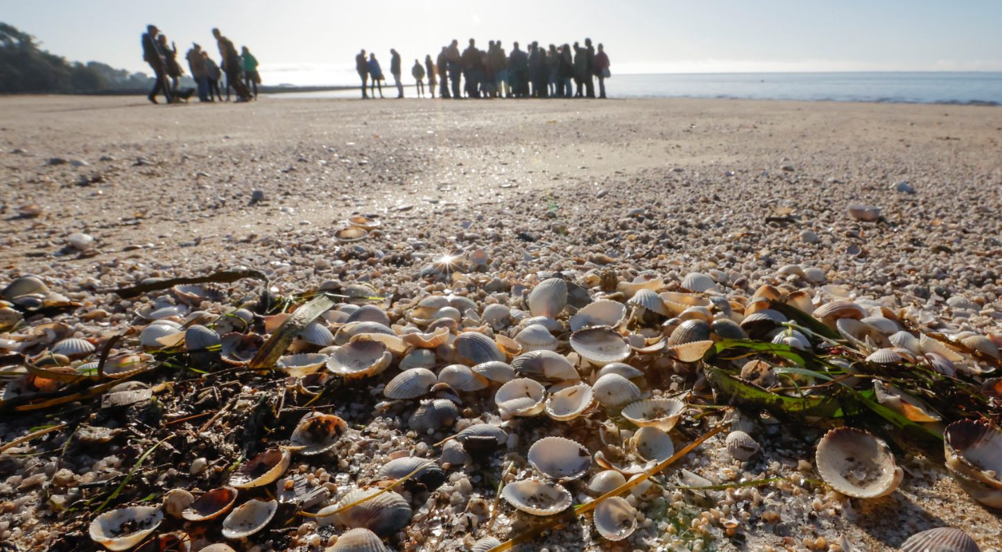 Un grupo de mariscadores con la portavoz del BNG, Ana Pontón en la playa de Rianxo, para analizar la situación tras la alta mortandad del marisco que impide trabajar a los profesionales, esta mañana en la loclaidad coruñesa. EFE/Lavandeira jr