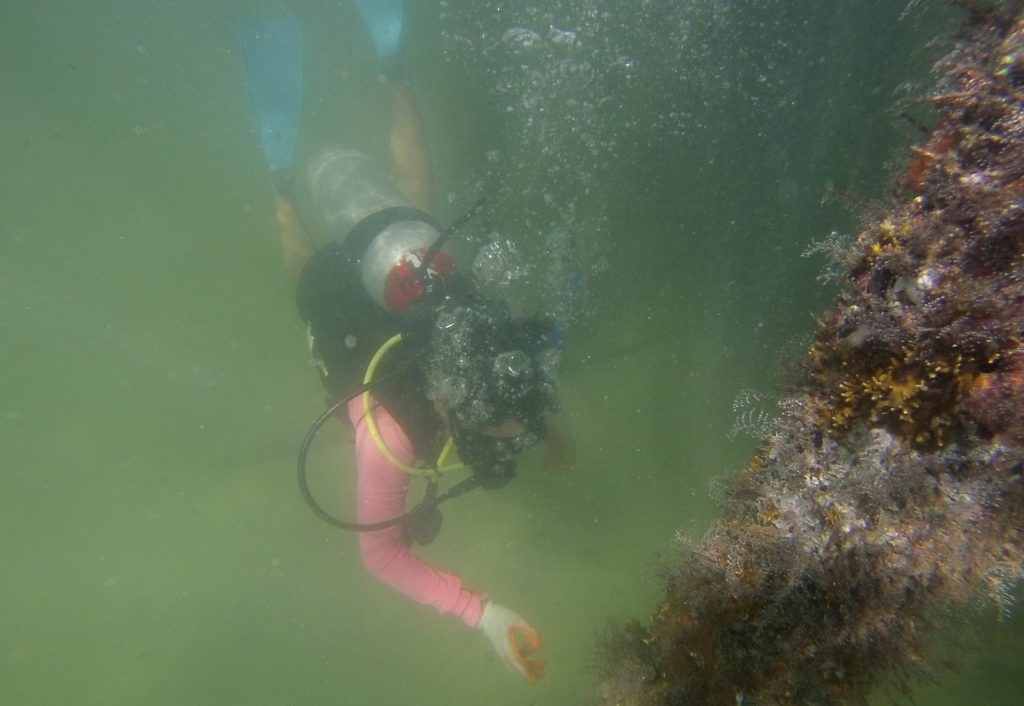 Fotografía de archivo de un submarinista en el fondo marino. EFE/Lourdes Cruz