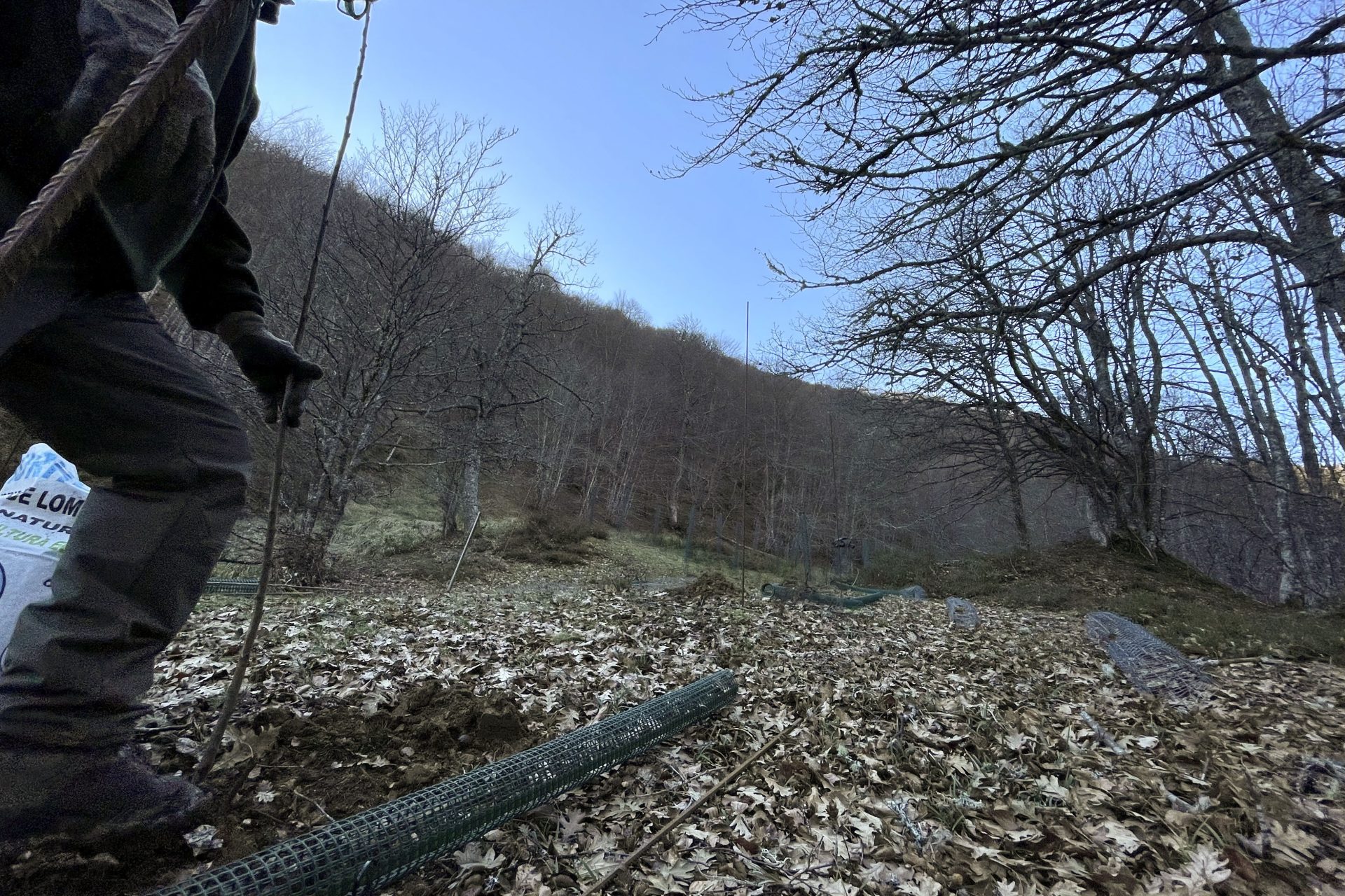POLACIONES, 29/01/2024.- Con el objetivo de mejorar el hábitat del oso pardo en la Cordillera Cantábrica y evitar que esta especie se pasee por los pueblos, el Fondo para la Protección de los Animales Salvajes (Fapas) está estableciendo pequeñas plantaciones de frutales en el monte, un auténtico bufé libre, de comida "gourmet", para los úrsidos. "Durante los últimos años, el proceso de expansión del oso, que todos aplaudimos, nos está generando también unos inconvenientes", explica a EFE el director honorario de Fapas, Roberto Hartasánchez, en la primera zona donde se está plantando, los alrededores del municipio cántabro de (Cantabria). EFE/Pablo Ayerbe Caselles