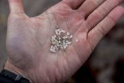 Pellets de plástico recogidos en la playa del Orzán, en A Coruña, donde se ha detectado su presencia aunque no de modo masivo como en otros arenales de Galicia. La vicepresidenta segunda de la Xunta y conselleira de Medio Ambiente, Ángeles Vázquez, ha informado que el Gobierno autonómico descarta elevar al nivel 2 la fase de emergencia por contaminación marina por el vertido de pellets en la costa gallega y pide que se hagan recogidas "de manera ordenada". EFE/Cabalar
