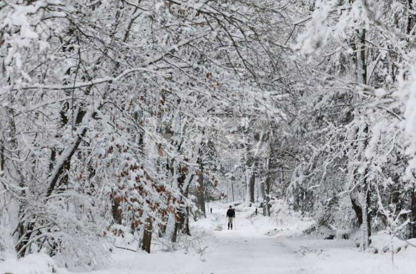 Un hombre atraviesa el Parque Histórico Nacional Minute Man cubierto de nieve, en Lincoln, Massachusetts (EE.UU.), este 9 de enero de 2024. EFE/EPA/CJ Gunther