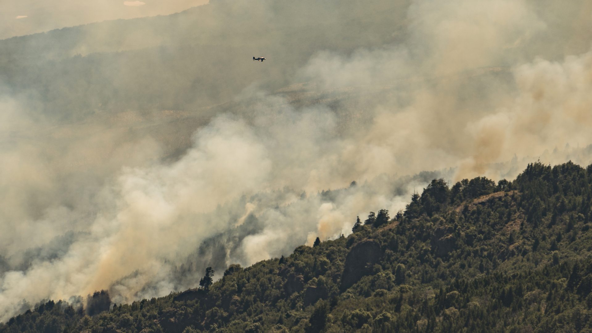 AME3737. CHUBUT (ARGENTINA), 31/01/2024.- Fotografía de un avión sobrevolando un incendio, el 29 de enero de 2024, sobre la ladera cercana a Bahía Rosales en el Parque Nacional Los Alerces, situado en la provincia patagónica de Chubut (sur) (Argentina). El incendio forestal que afecta desde el día 25 al Parque Nacional Los Alerces, Patrimonio de la Unesco desde 2017, y a la provincia patagónica de Chubut ya calcinó 2.300 hectáreas, según informaron a EFE fuentes oficiales de la intendencia del parque y encargados de las labores de extinción del fuego. "Tenemos todavía una semana de trabajo intenso", aseguró Danilo Otaño, el intendente del Parque Nacional Los Alerces. EFE/ Franco Citroni