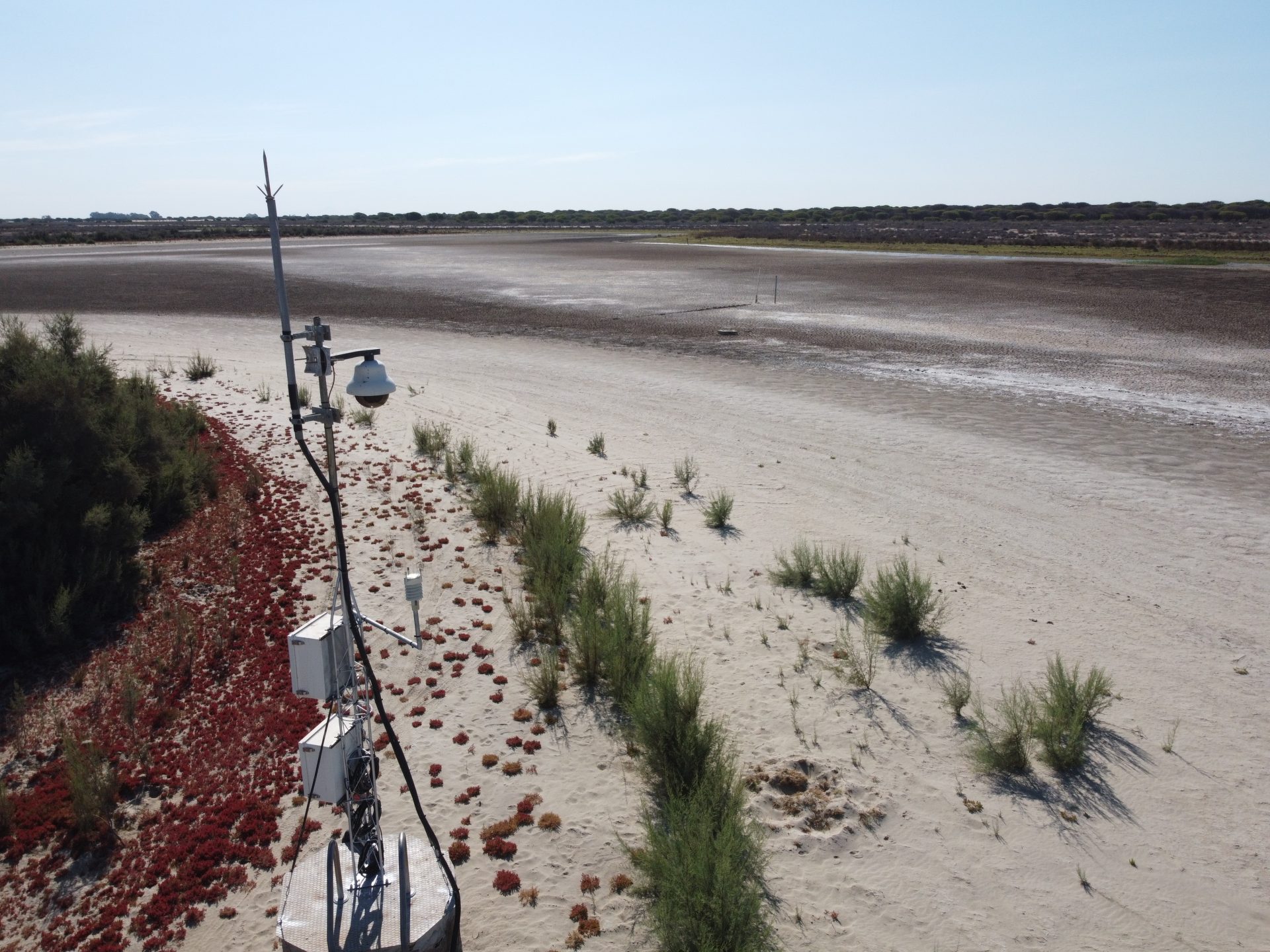 La laguna de Santa Olalla, la última laguna permanente de Doñana, completamente seca en agosto del año pasado. © EBD - CSIC