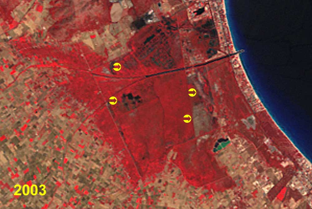 A partir de 2003, estas zonas ya han perdido la cobertura vegetal, en forma de calvas ocupadas por aguas libres. © Grupo ecologista GOB