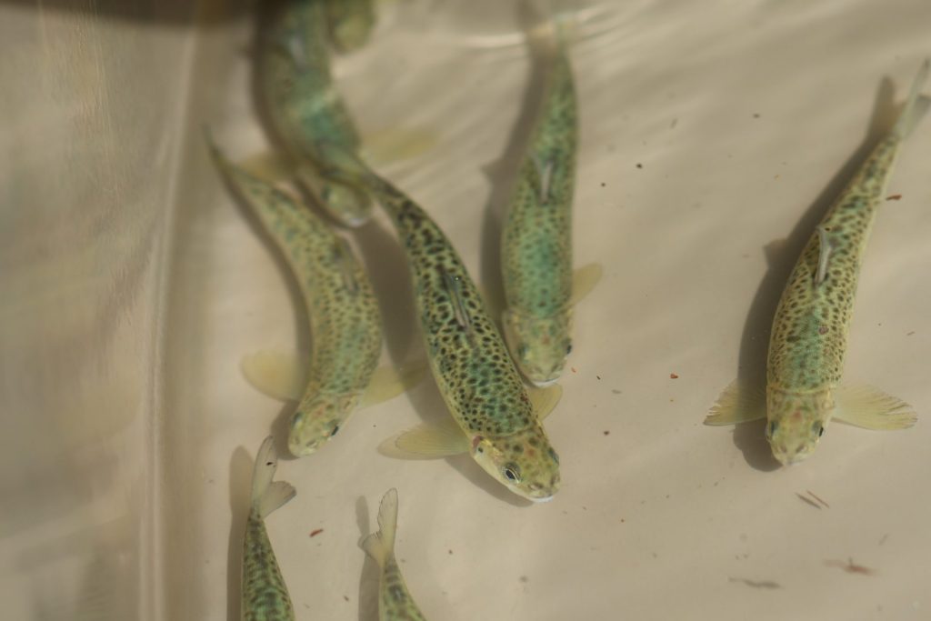 © Gobierno de Navarra