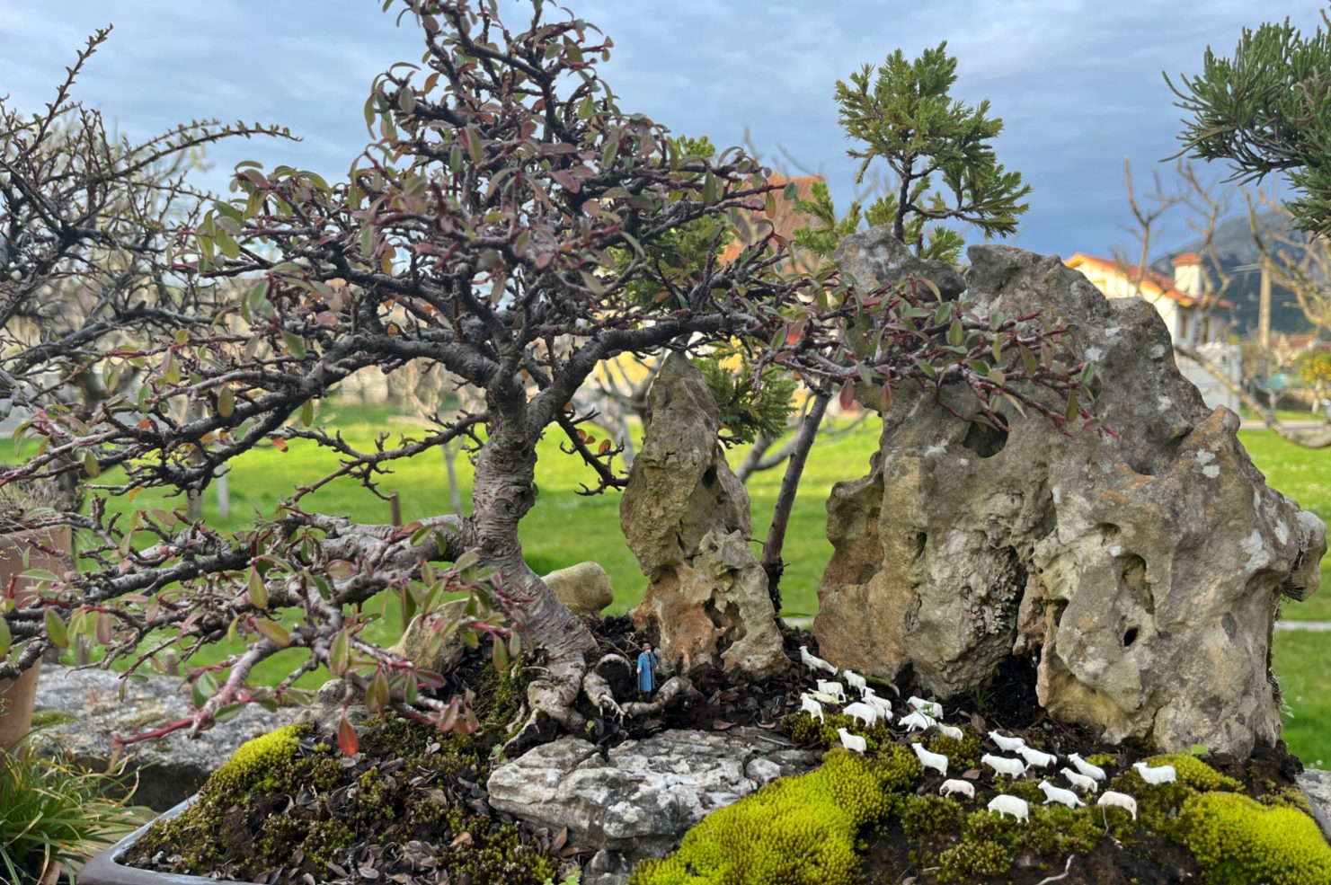 Un jubilado bilbaíno, afincado en Liendo (Cantabria), adapta desde hace más de una década microjardines en macetas deterioradas para obtener minimalistas ecosistemas naturales, en los que se pueden observar la mutabilidad de las cuatro estaciones desde el propio hogar. EFE/Miguel Ramos