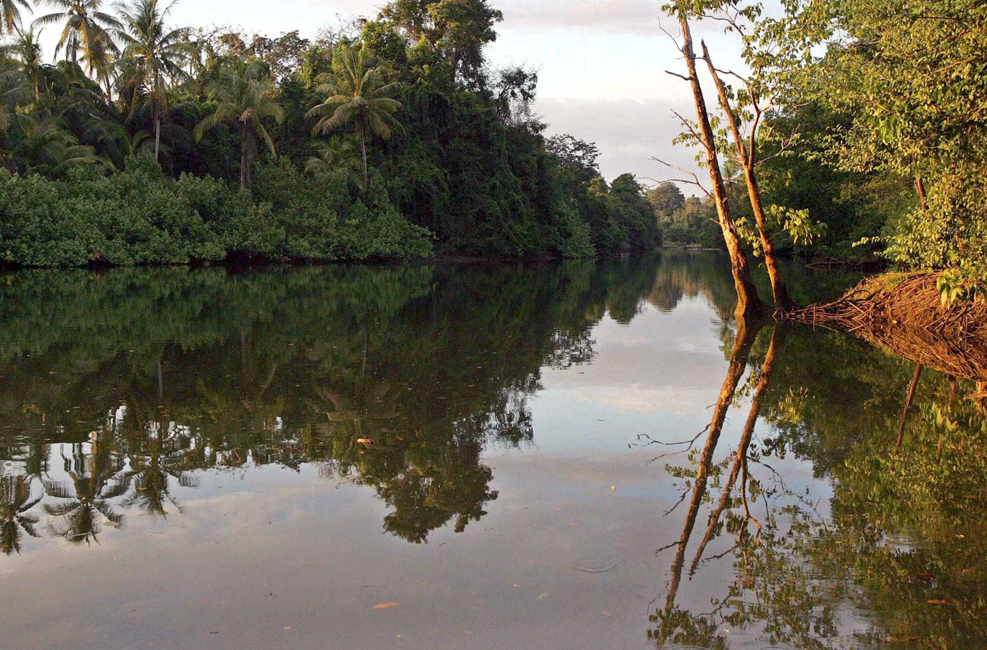 SJS2. SAN JOSÉ (COSTA RICA), 11/04/2024.- Fotografía de archivo fechada el 19 de abril de 2018 que muestra la Península de Osa, en el Pacífico sur de Costa Rica. El Programa de Pago por Servicios Ambientales (PSA) de Costa Rica, un reconocimiento financiero que otorga el Estado por medio del Fondo Nacional de Financiamiento Forestal (Fonafifo), se ha convertido en un ejemplo internacional para la protección del bosque y la reversión de la deforestación. EFE/ Jeffrey Arguedas