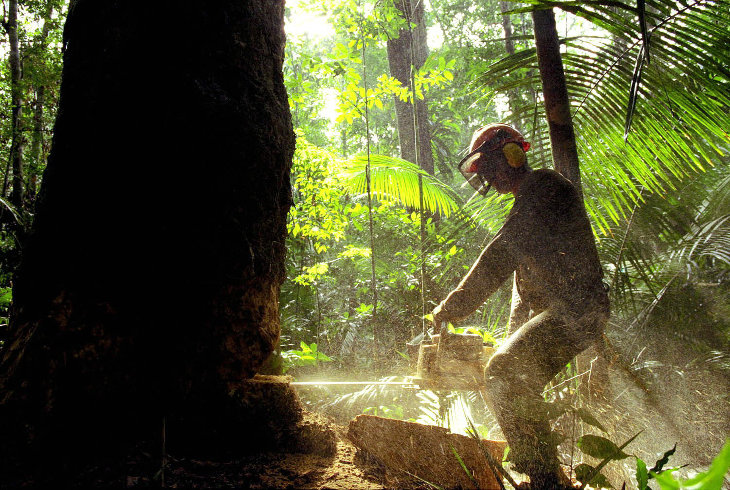 ARCHIVO SIN FECHA - BRA06 - RÍO DE JANEIRO (BRASIL) - 26/06/03 - El ritmo de destrucción de la Amazonía brasileña creció en 40 por ciento entre 2001 y 2002, y cada hora es arrasada un área equivalente a casi 600 estadios de fútbol, según cifras oficiales que despertaron hoy jueves nuevas luces de alarma en el gobierno brasileño. El Instituto Nacional de Investigaciones Espaciales (Inpe) difundió el miércoles los datos obtenidos por satélite en toda el área amazónica brasileña, que comprende unos cinco millones de kilómetros cuadrados. EFE/Marcelo Sayão(ARCHIVO) PROHIBIDO SU USO EN BRASIL - BRAZIL OUT