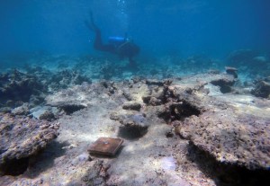 GRAF5166. SÍDNEY (AUSTRALIA), 04/04/2019.- Efectos del devastador blanqueamiento masivo de colares que la Gran Barrera sufrió durante dos años consecutivos, 2016 y 2017, a raíz del cambio climático y que pone en una seria amenaza la supervivencia del mayor arrecife del Planeta. El aumento de las temperaturas en Australia derivado del cambio climático redujo en un 89 por ciento la recuperación de los corales de la Gran Barrera, en el noreste de país oceánico. EFE/Universidad James Cook/Gergely Torda