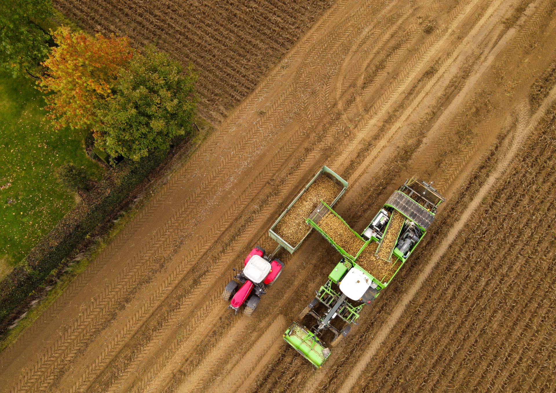 Namur (Belgium), 13/10/2023.- A photo taken with a drone of farmers harvesting potatoes with tractors in a field in Namur, southern Belgium, 13 October 2023. European Union member states are voting 13 October on a proposal of the European Commission on extending approval of the controversial sale of the weedkiller glyphosate, also known as as Roundup, by US chemical company Monsanto. (Bélgica) EFE/EPA/OLIVIER HOSLET