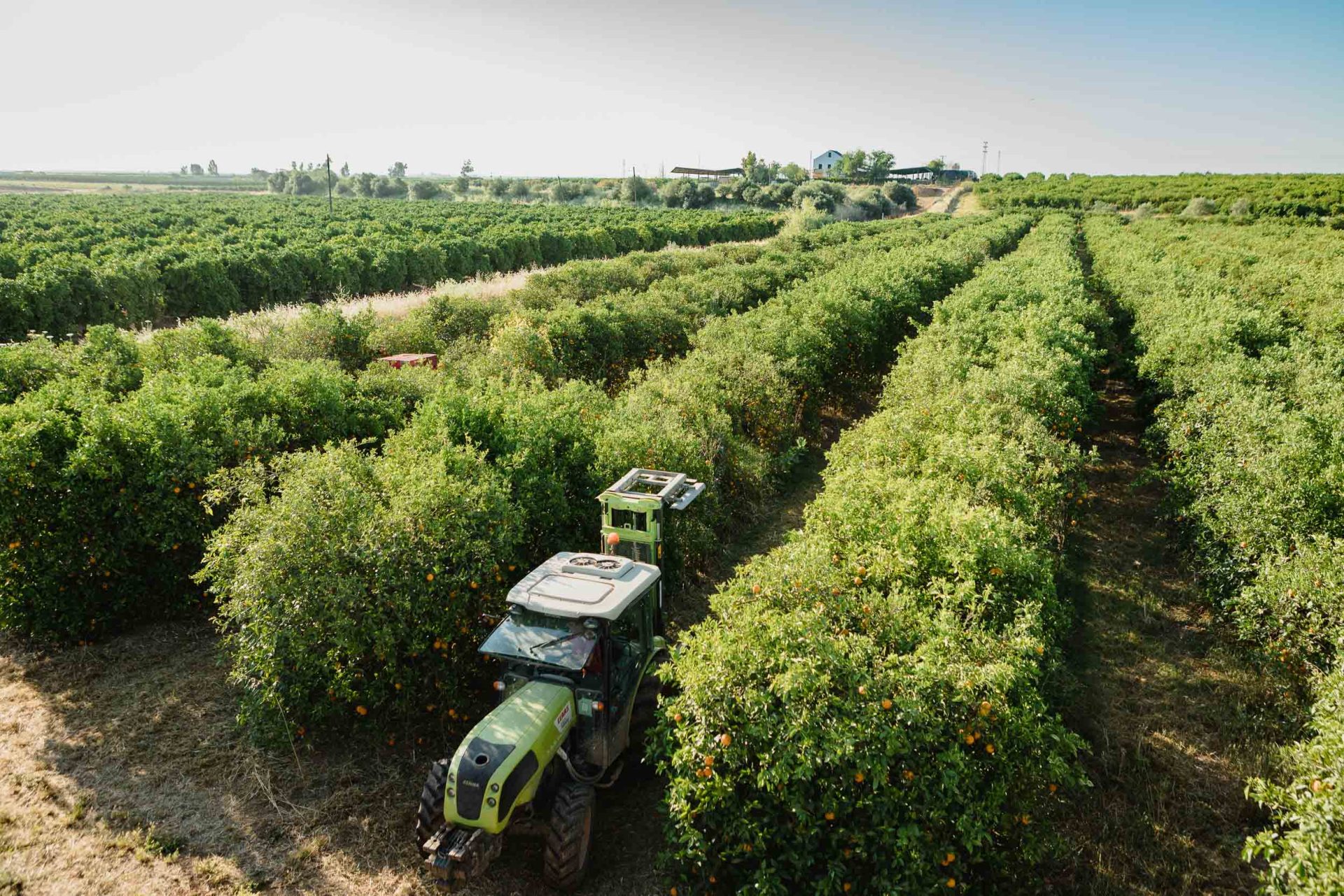 La agroecología, una alternativa rentable y que apuesta por el medioambiente