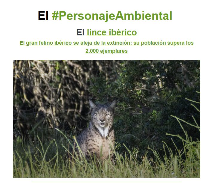 el lince iberico personaje ambiental en planeta sostenible