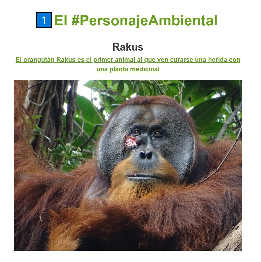 rakus, el personaje ambiental del 9 de mayo en Planeta Sostenible de EFEverde
