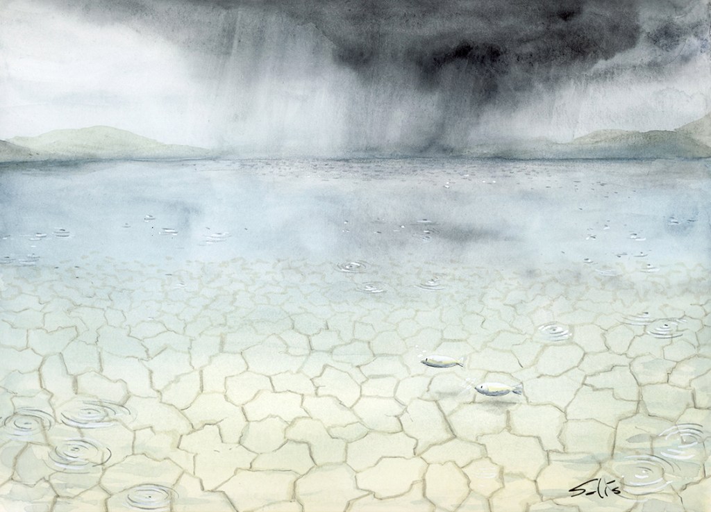 A pesar de las lluvias intensas, la sequía es un fenómeno latente. Por () Víctor Solís (@Visoor) 