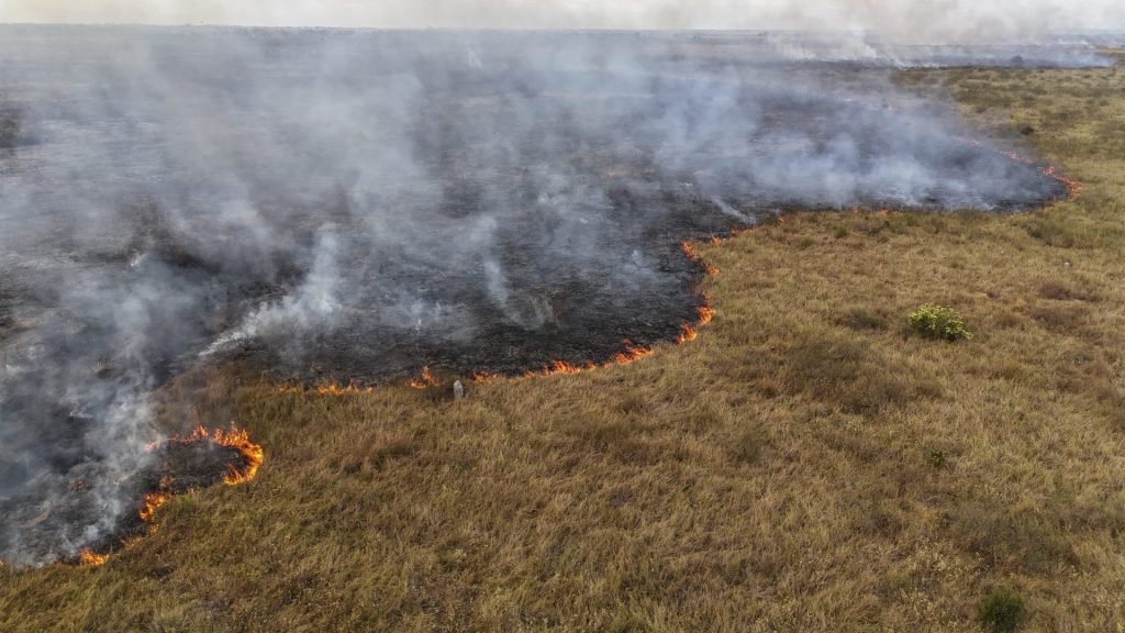 AME6963. CORUMBÁ (BRASIL), 26/06/2024.- Fotografía aérea que muestra un incendio forestal este miércoles, en el Pantanal brasileño, en Corumbá (Brasil).Los incendios que azotan al Pantanal, el mayor humedal del mundo y que Brasil comparte con Paraguay y Bolivia, están dejando un manto de humo y cenizas en el bioma, que vive una de las peores sequías de su historia. EFE/ Sebastiao Moreira