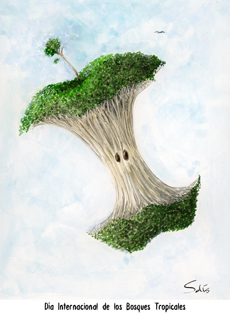 Día Internacional de los Bosques Tropicales (22 de junio).